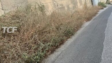 Minissale, chiesta scerbatura urgente