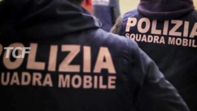 Armi e munizioni in casa