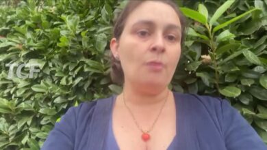 Giselda Campolo - Mense scolastiche