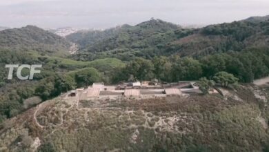 Forti d'autunno biodiversità tra antiche mura messinesi