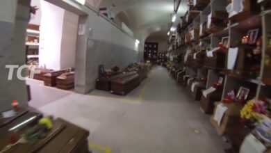 Gran Camposanto carenza posti, al via bonifica area Giardinetti