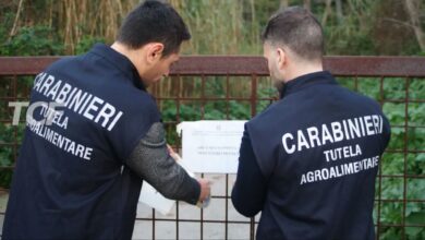 Truffa Unione Europea sui fondi per l'agricoltura